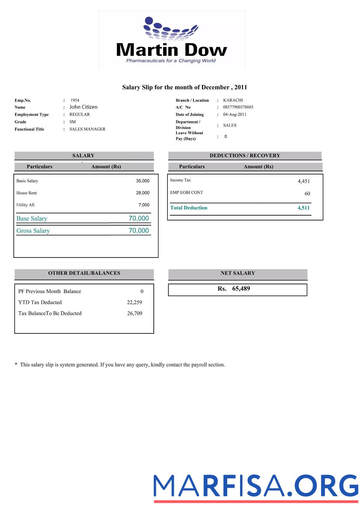 Realistic Pakistan Martin Dow paystlip real example